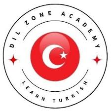 Dilzone Logo